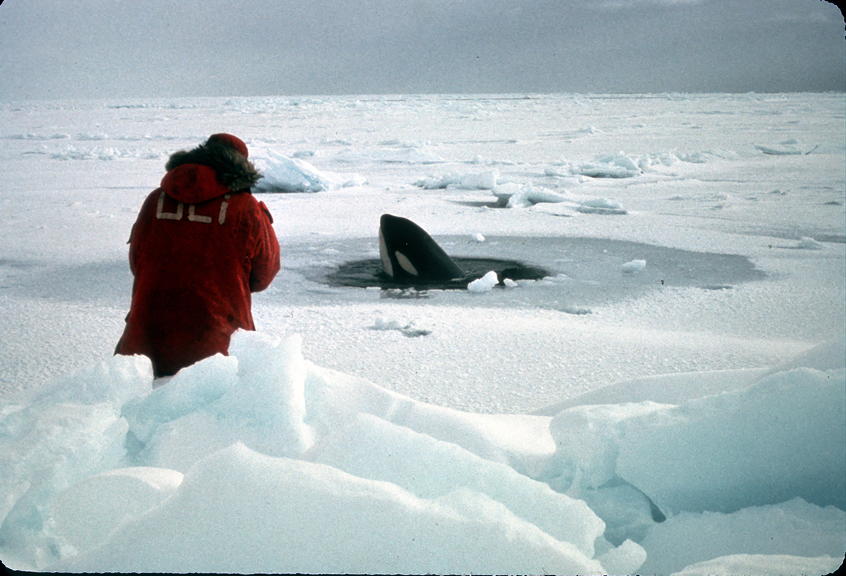 Oli and the orca