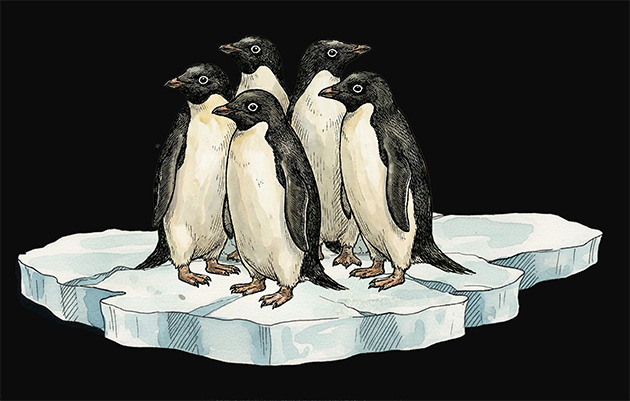 Ink and watercolor Adélie penguins on sea ice